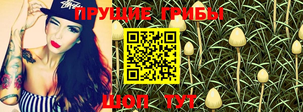 Сунжа  Псилоцибиновые грибы ЛСД  Галлюциногенные грибы Magic Shrooms  Вход с VPN 